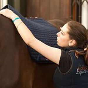 Collective Equestrian Livery & Facilities