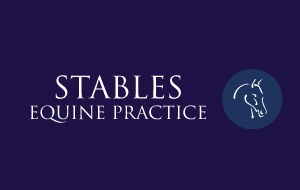 Stables Equine Practice